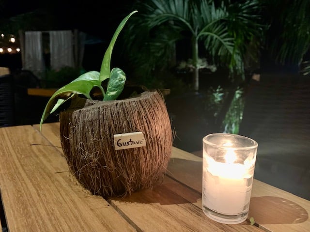 A coconut cocktail, mixed and served by Sanchez. 